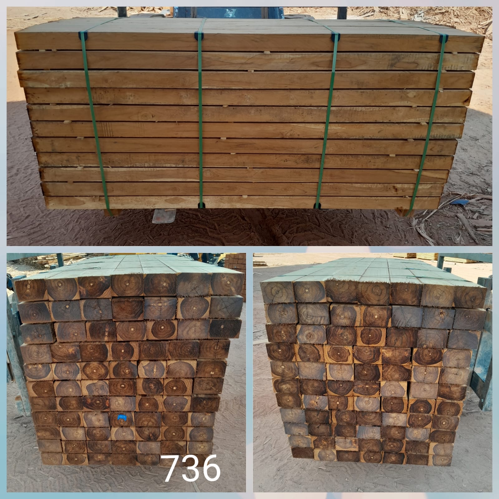 Brazil Sawn 4